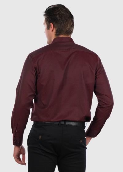 Ferris bordo klasiskais vīriešu krekls - back