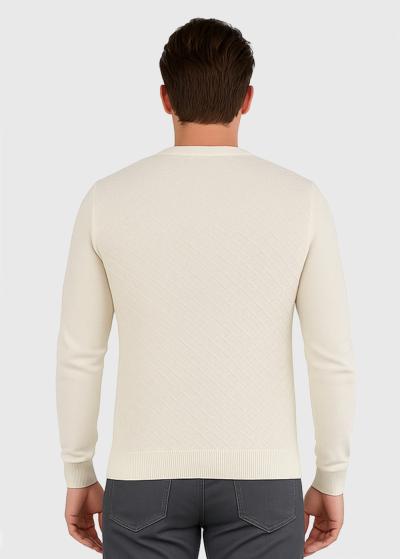 Akif gaiši bēšs vīriešu džemperis - back