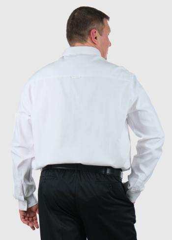 Raniero Plus Size white shirt - back