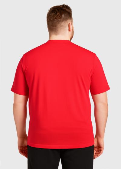 Aurelio Plus Size red men's t-shirt - back