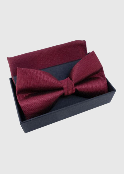 Ansat bordo bow tie and handkerchief