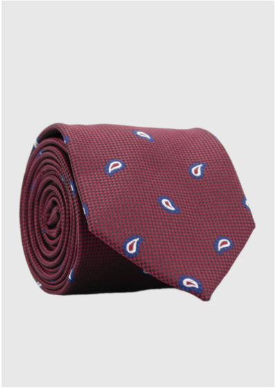Alakai bordo men's tie with print