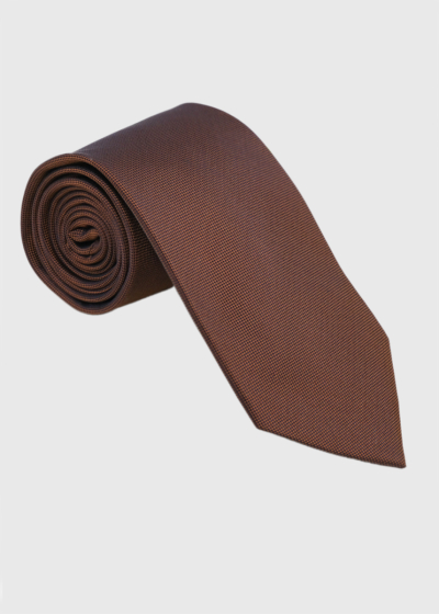 Brown men's tie