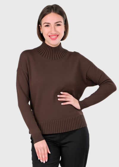 Arlanda brown high neck sweater