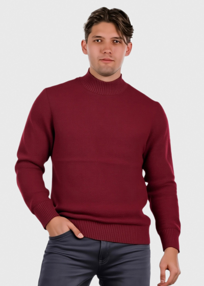 Autis bordo high neck sweater