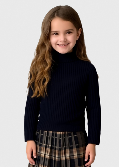 Steph black high neck sweater