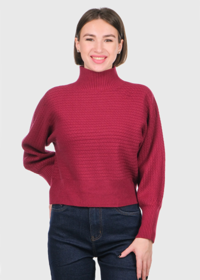Scarlett bordo high neck sweater